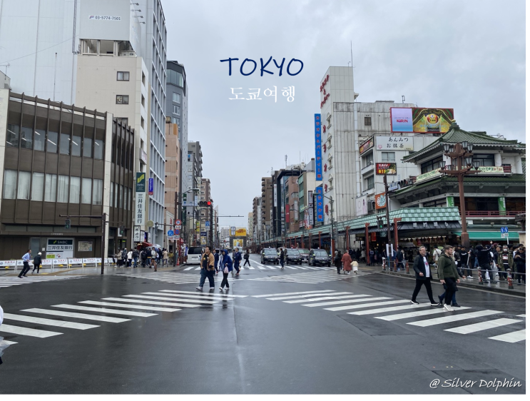  일본여행 도쿄 (Tokyo) 여행 필수 코스: 아사쿠사 센소지 (ft. 카미나리-잇사, 말차 전문점)