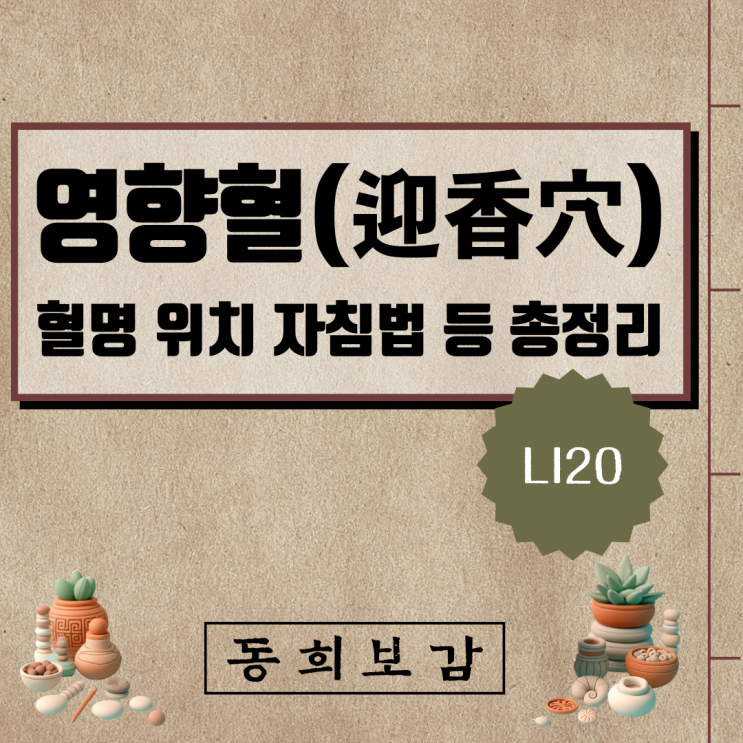  영향혈(迎香穴) LI20, 소속경맥 혈명 위치 특성 자침법 등 총정리