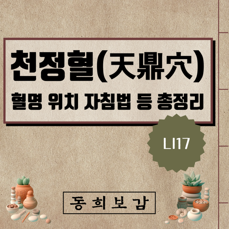  천정혈(天鼎穴) LI17, 소속경맥 혈명 위치 특성 자침법 등 총정리