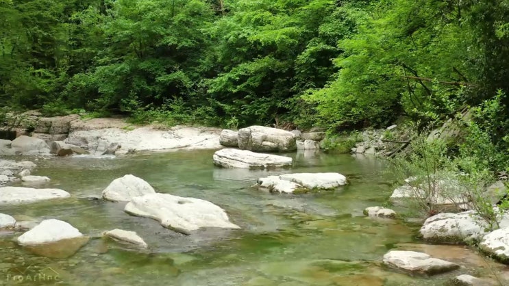  구미 사회복지관련자격증 사회복지사2급 중년 직장인도 독학으로 쉽고 빠르게