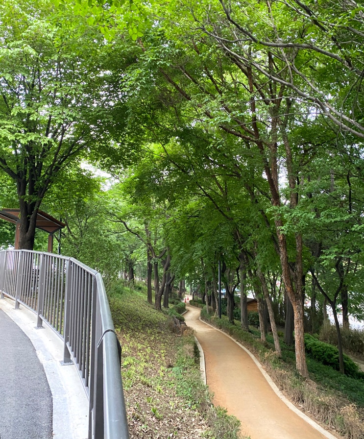  서울 성동구 맨발걷기 황토길 추천, 송정제방길 / 서울 황톳길 황토길 어싱 맨발걷기 좋은곳 위치 주차 가는법