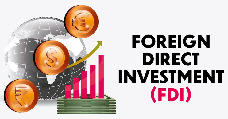 (인디샘 컨설팅) 인도 FDI(해외/외국인 직접투자)/FVCI/FPI의 법적 프레임워크에 대한 개요 (인디샘 컨설팅) 인도 FDI(해외/외국인 직접투자)/FVCI/FPI의 법적 프레임워크에 대한 개요