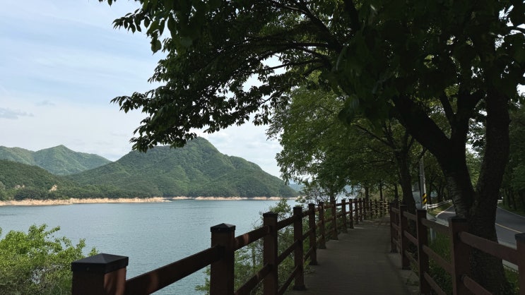  [충북 충주] 충주호 종댕이길 2구간 - 충주호 옆을 걷는 둘레길 코스, 뷰 감상