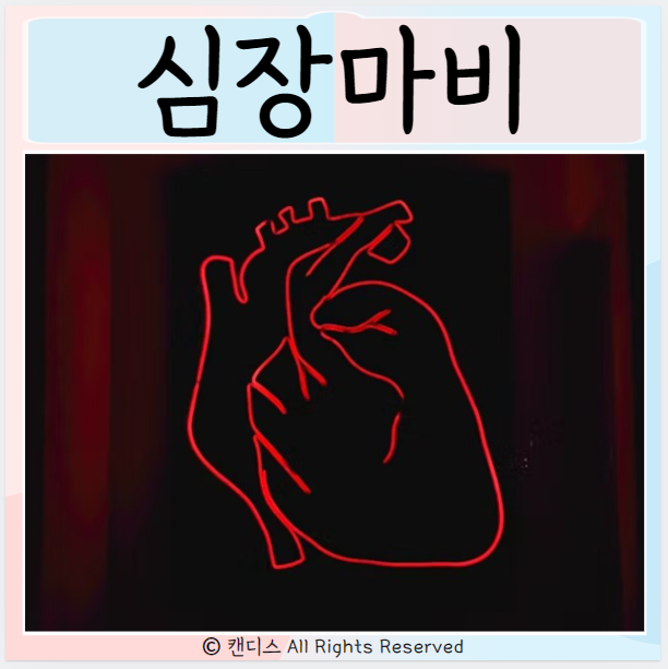  심장마비 원인 예방법 전조증상