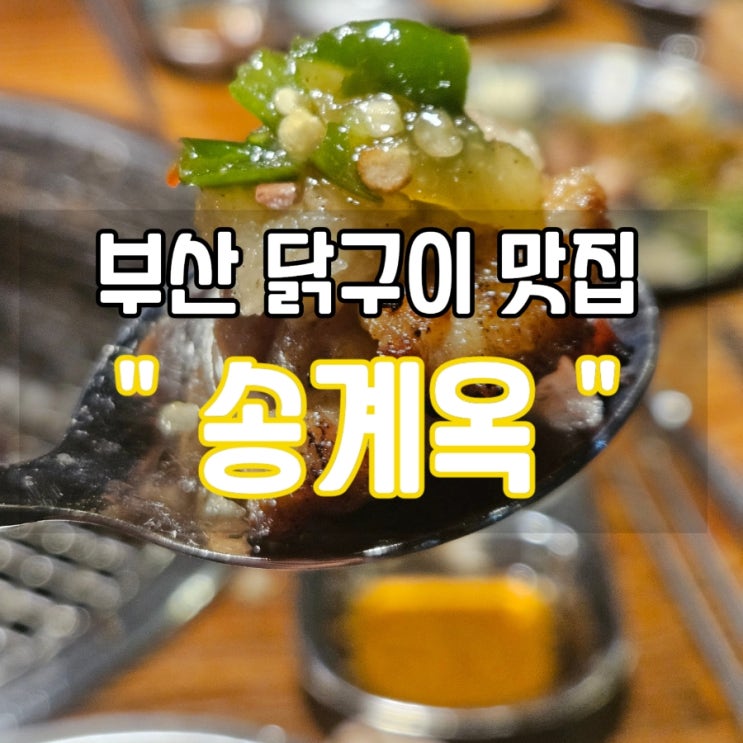  [부산 광안리 신상 맛집 추천] 닭구이와 얼그레이 하이볼이 맛있는 광안리 '송계옥'
