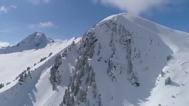  종자산업기사 필기 합격기준 종자산업기사 시험응시조건 인강만 듣고 15주만에 성공한 방법