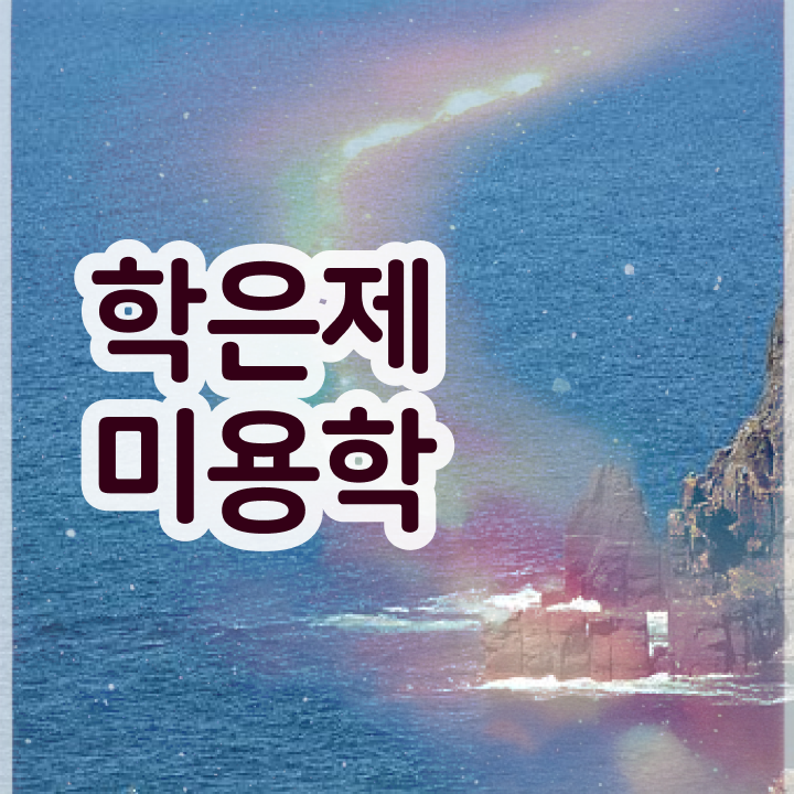 미용자격증 나이 , 온라인 과정 100%로 빠르게 국가미용자격증 갖춘방법