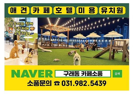 사진 4