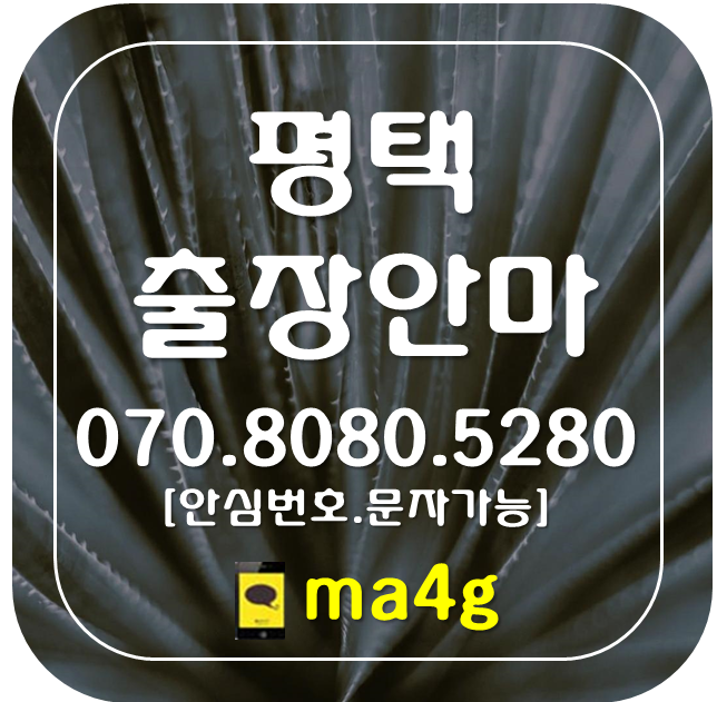  [평택출장마사지·안마]신대동 소사동 용이동 월곡동 청룡동 죽백동 고덕동 팽성읍 안중읍 포승 청북 진위면 서탄면 고덕 오성면 현덕면 중앙동 송탄동 송북동 신평동 원평동 평택역 홈타이
