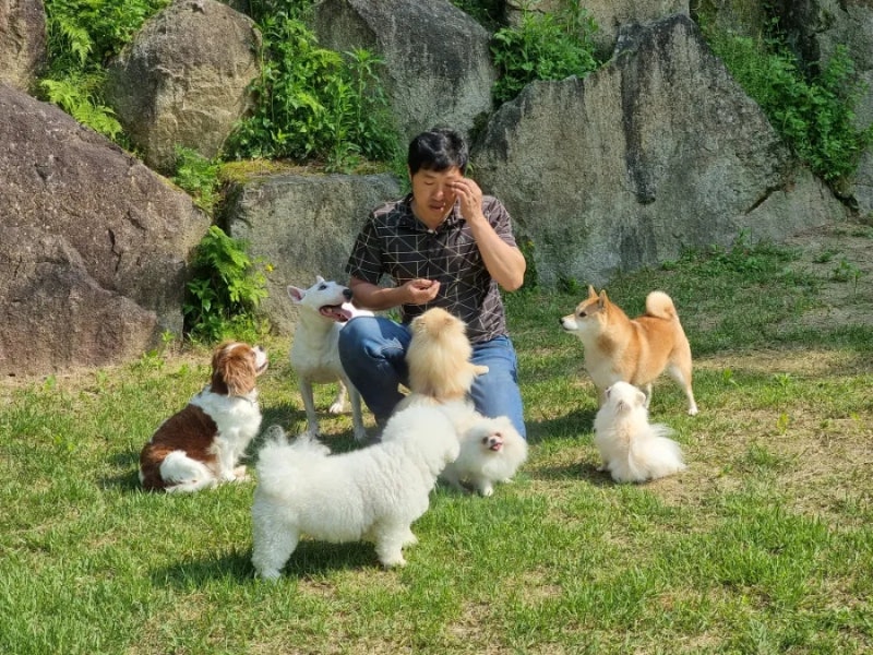 사진 5
