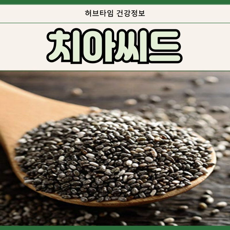 치아씨드 바질씨드 보관 섭취량 밥