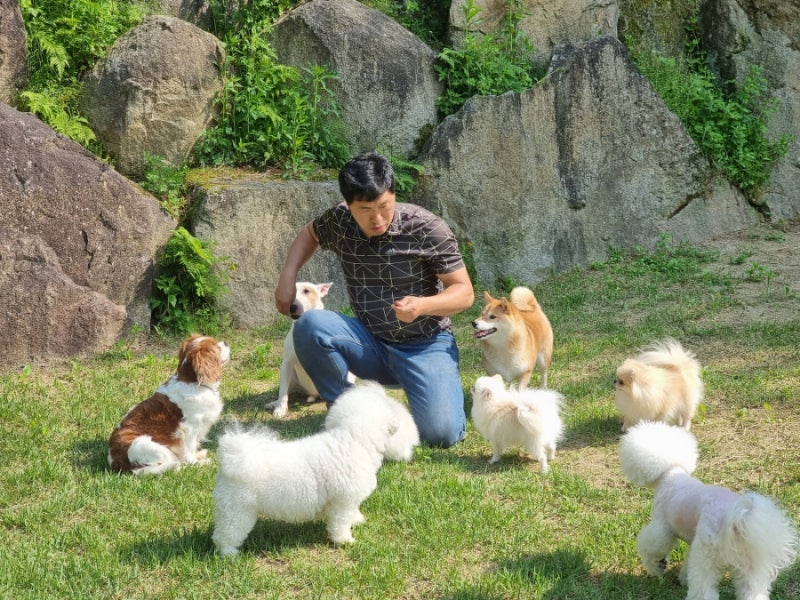 사진 4