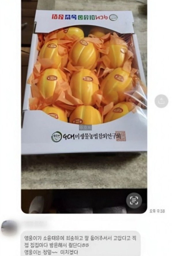 임영웅 직접 참외배달 <b>콘서트 연습</b> 소음 죄송한 마음에 역시 천사