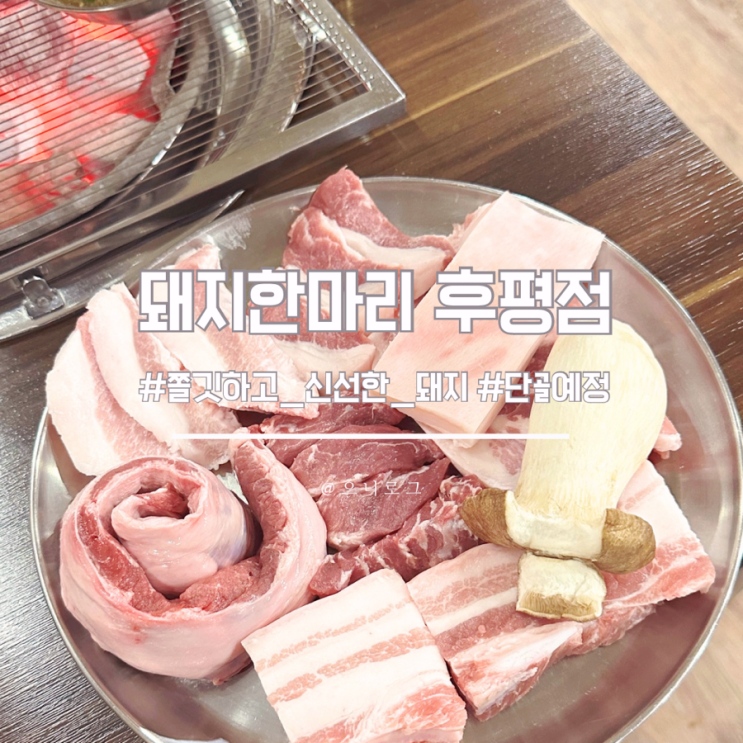  춘천 삼겹살 당일도축하는 신선한 돼지한마리 후평점