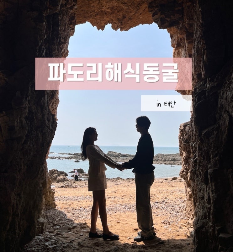  태안 가볼만한 곳 파도리해식동굴 물때와 간조 사진스팟 주차장 총정리