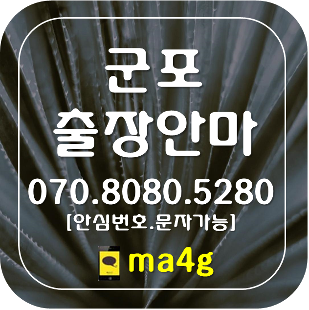  [군포출장마사지·안마]당정동 부곡동 산본동 금정동 둔대동 속달동 재궁동 군포동 오금동 수리동 궁내동 대야동 광정동 송부동 당동 대야미동 도마교동 군포시청 군포역 당정역 홈타이