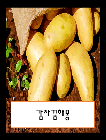 감자꿈, 감자먹는꿈, 감자삶는꿈, 감자캐는꿈, 감자썩는꿈 해몽