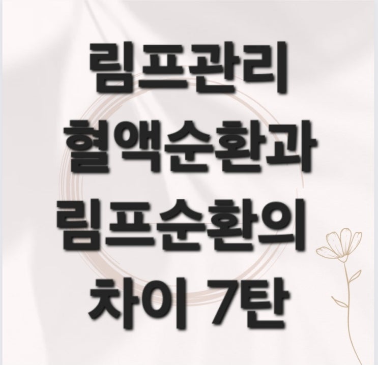  림프관리 혈액순환과 림프순환의 차이 7탄