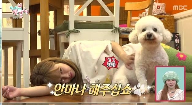 ‘금손’ 취향 <b>집</b> 최초 공개…천재견 소금이까지 (<b>전참시</b>)[종합]