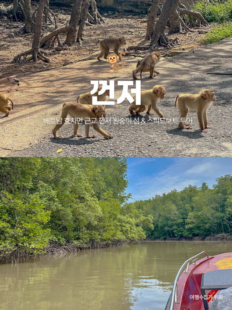  베트남 혼자 여행 껀저 원숭이 섬 투어 후기 | 호찌민 근교 투어 추천 일정 비용 예약