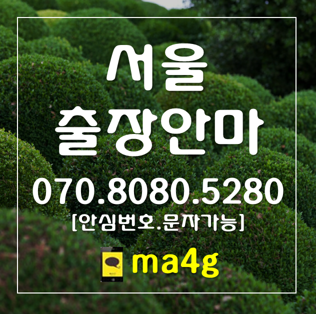  [서울출장마사지·안마]한강로동 이태원동 원효로동 은평구 수색동 녹번동 불광동 갈현동 구산동 대조동 응암동 역촌동 신사동 증산동 진관동 종로구 청운동 신교동 궁정동 효자동 홈타이