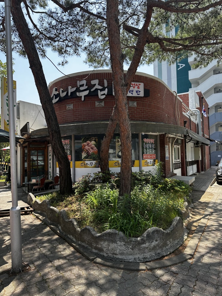  대전 근교 신일동 맛집 제육볶음과 생선구이 숨겨진 집! 소나무집