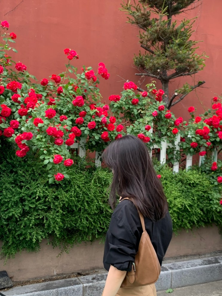  May 2nd week dailylook(어그스트, 플리츠플리즈, 얼바닉30 , 문달, LFM, ZARA, 투에투아, 루키버드, 프라다…)