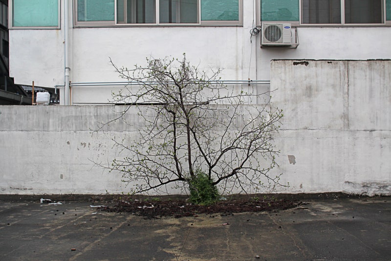 사진 7