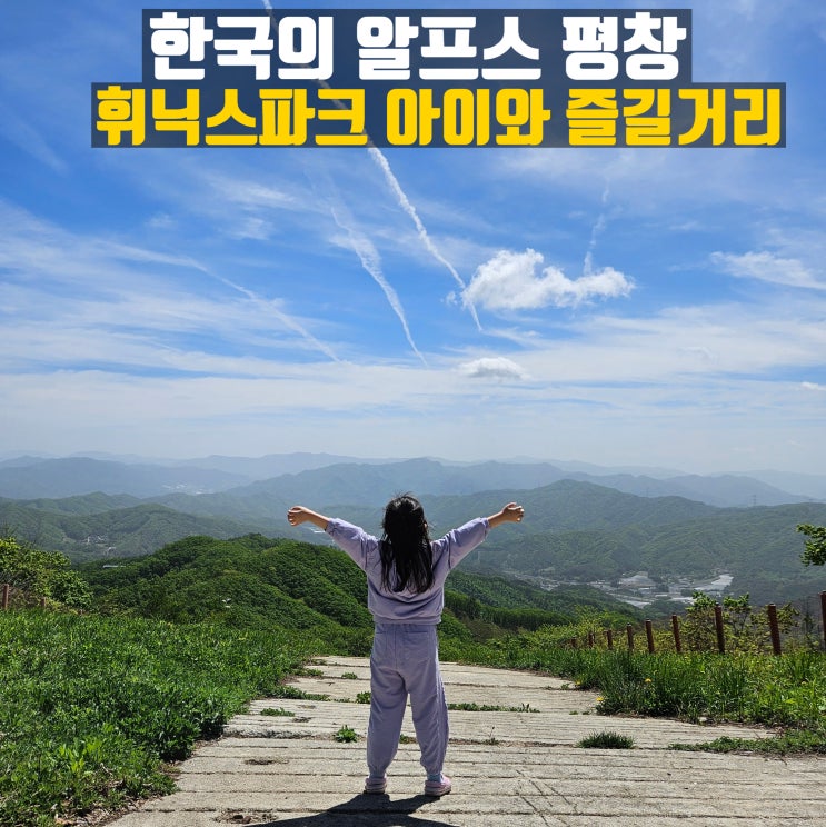  아이와 즐길거리가 많은 휘닉스평창 곤돌라 케이블카 정상 마운틴뷰 후기