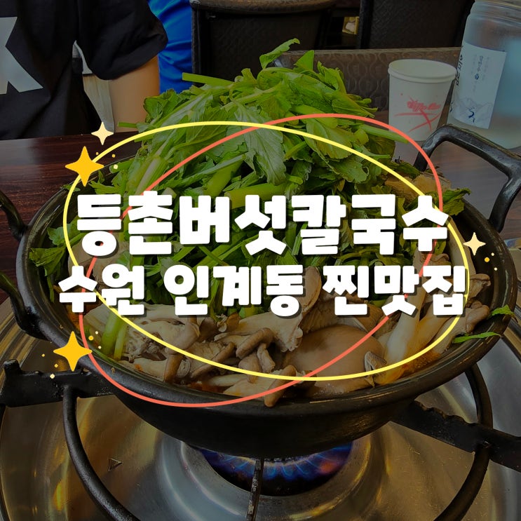  수원 시청 앞 찐 로컬 맛집 전설의 점바점 :: 등촌 버섯 칼국수