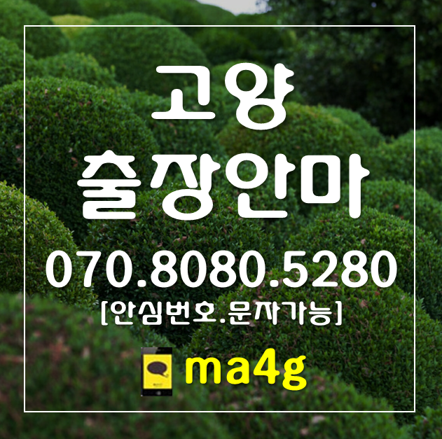  [고양출장마사지·안마]내곡동 대장동 화정동 강매동 신평동 행신동 화전동 현천동 덕은동 향동동 원신동 흥도동 창릉동 능곡동 행주동 대덕동 행주내동 행주외동 삼송역 화정역 홈타이