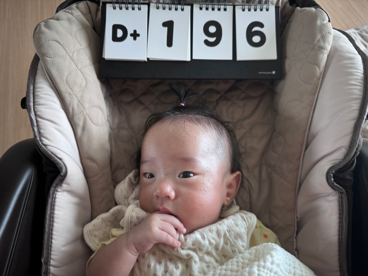 다시 도전한 야외 외출 D+196 다시 도전한 야외 외출 D+196