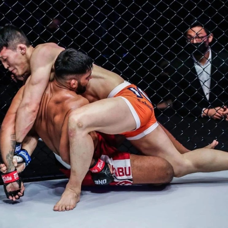 국내 MMA 웰터급 순위 TOP5