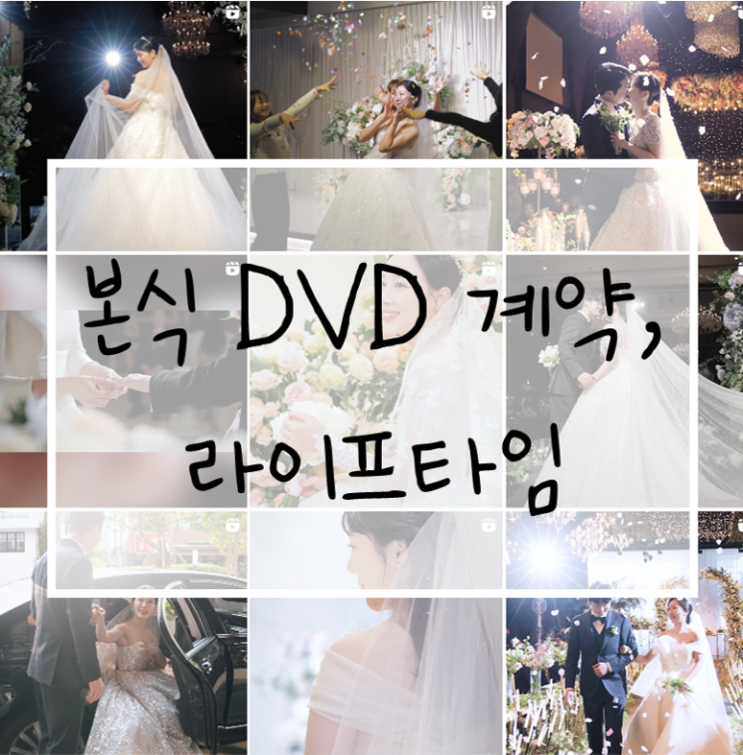  숨고 본식 DVD 서치 과정 및 계약 후기, 라이프타임