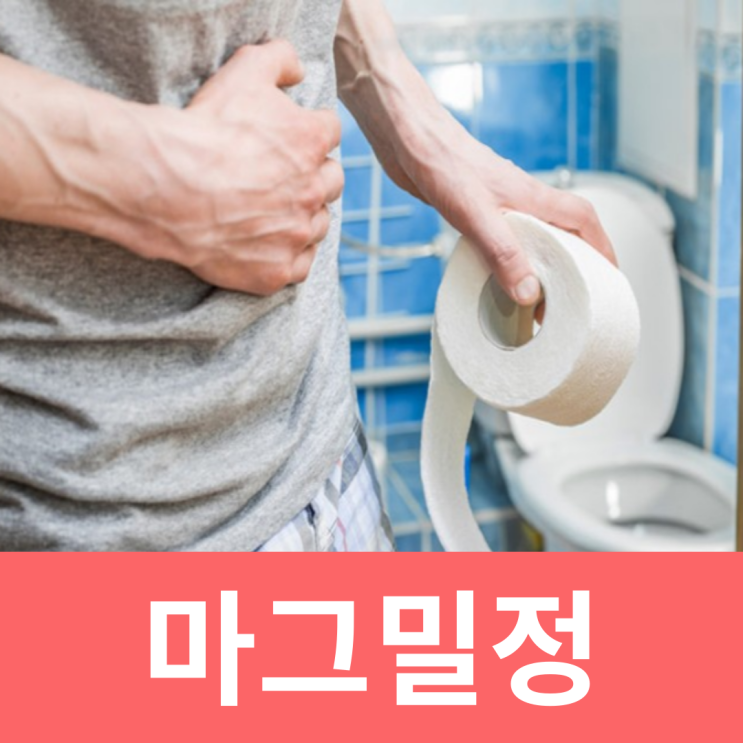  마그밀정 500MG 효과 부작용 변비 가격 복용법 임산부