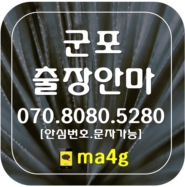  [군포출장마사지·안마]군포동 오금동 수리동 궁내동 당정동 부곡동 산본동 금정동 둔대동 속달동 재궁동 대야동 광정동 송부동 당동 대야미동 도마교동 군포시청 군포역 금정역 산본 홈타이