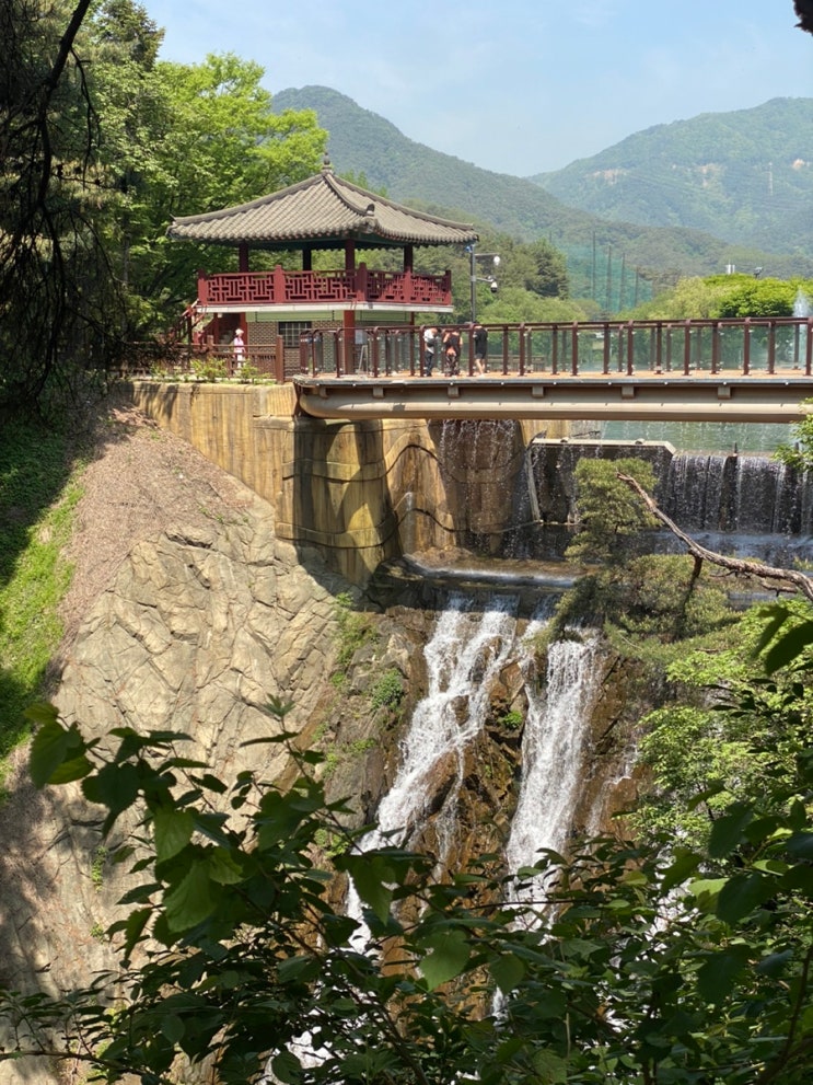  충북 제천 가족여행 가볼만한곳 의림지 용추폭포.