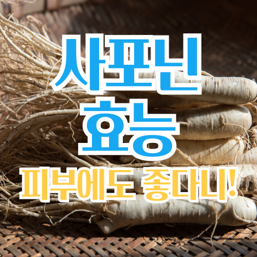  사포닌 효능 피부에도 좋다니