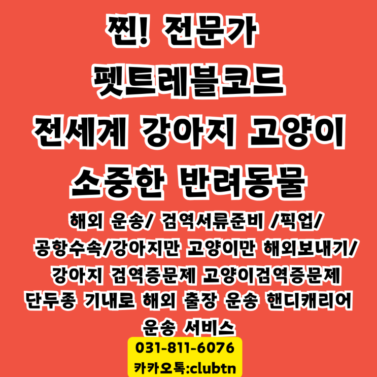  강아지 고양이 단두종 반려동물 대형견 해외운송 필리핀 수입 허가서 검역증문제 국제 서비스