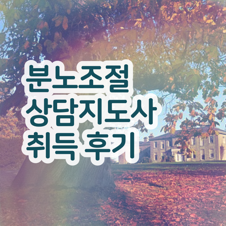 40대여성자격증 , 분노조절상담지도사 경력없는 사람도 간편하게 끝냈던 비법