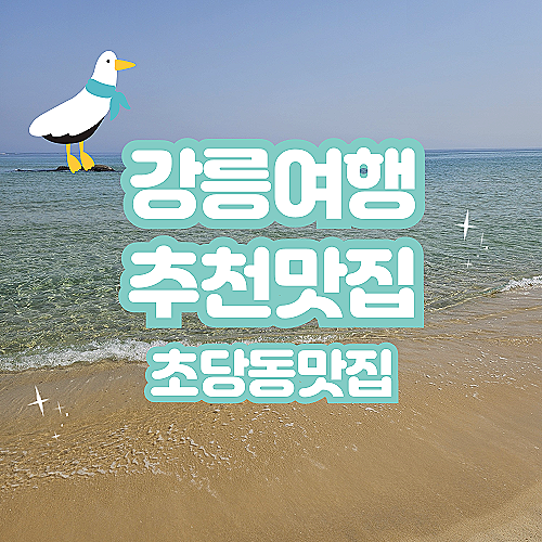  강릉 여행 한식 맛집 추천 (9남매두부집, 길손)