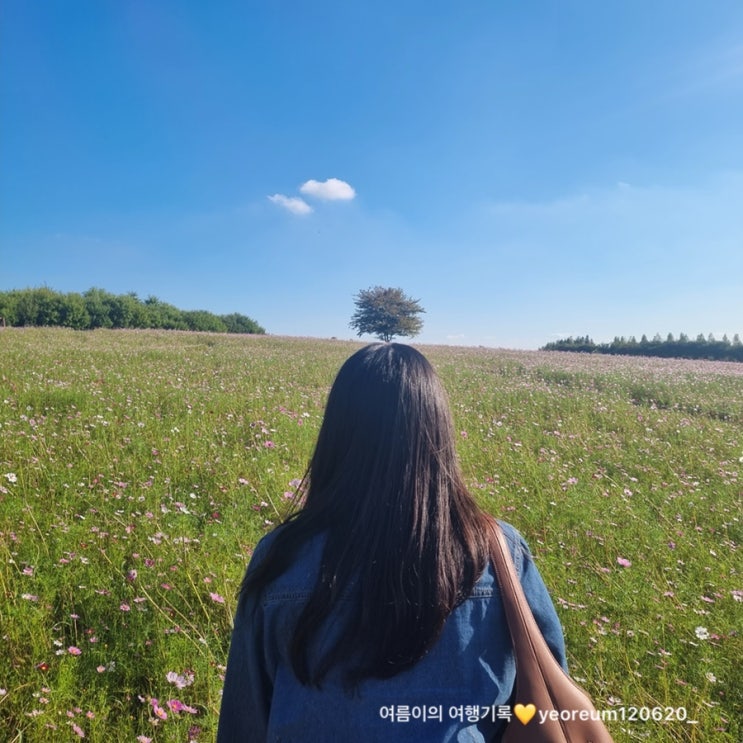  10월 충남 당진 당일치기 데이트코스 [우렁이박사, 아그로랜드, 해어름] #서울근교 #쏘카