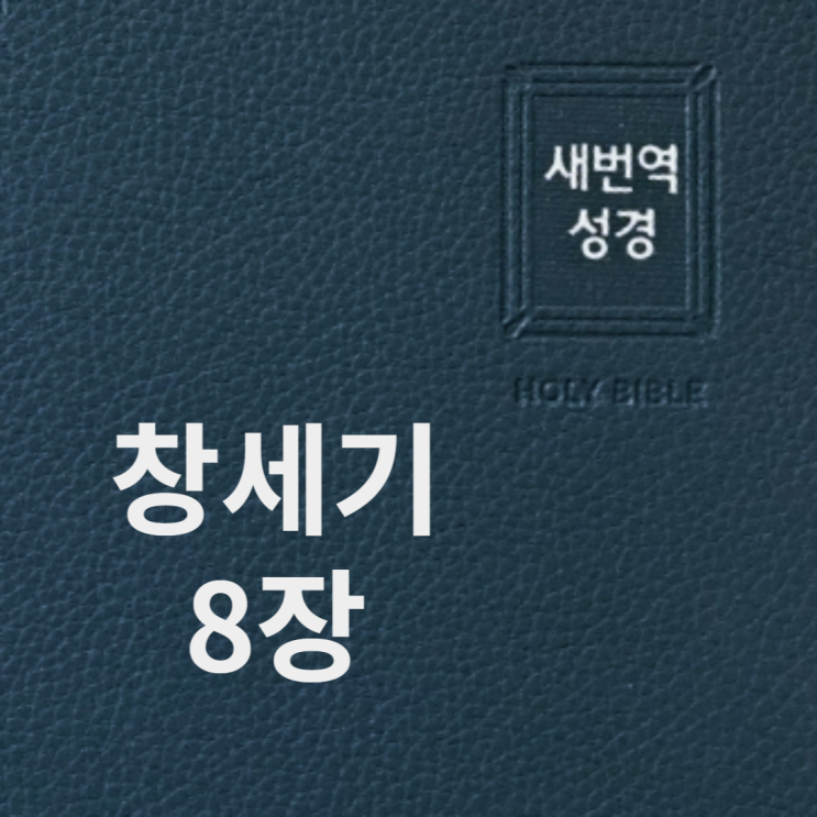 창세기 8장 창세기 8장