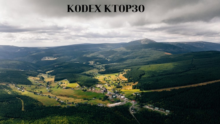  KODEX KTOP30/229720