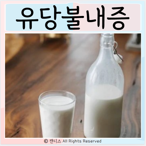  유당불내증 대처방법 증상 우유 알레르기