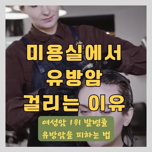  미용실을 자주가면 유방암이 걸리는 이유와 안전하게 머리 하는 법 - 유방암 증상, 음식, 습관