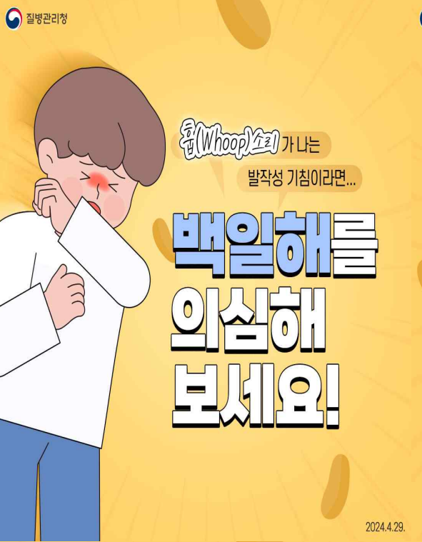  급속히 유행중인 백일해 증상 대처방법 예방접종 예방법