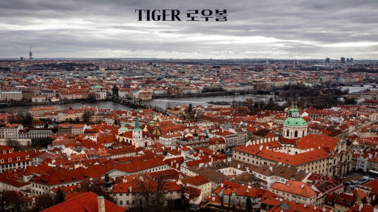  TIGER 로우볼/174350