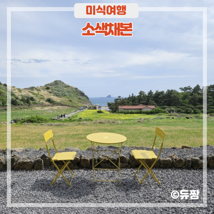  제주 산방산 뷰 카페 소색채본 대형 포토존 카페
