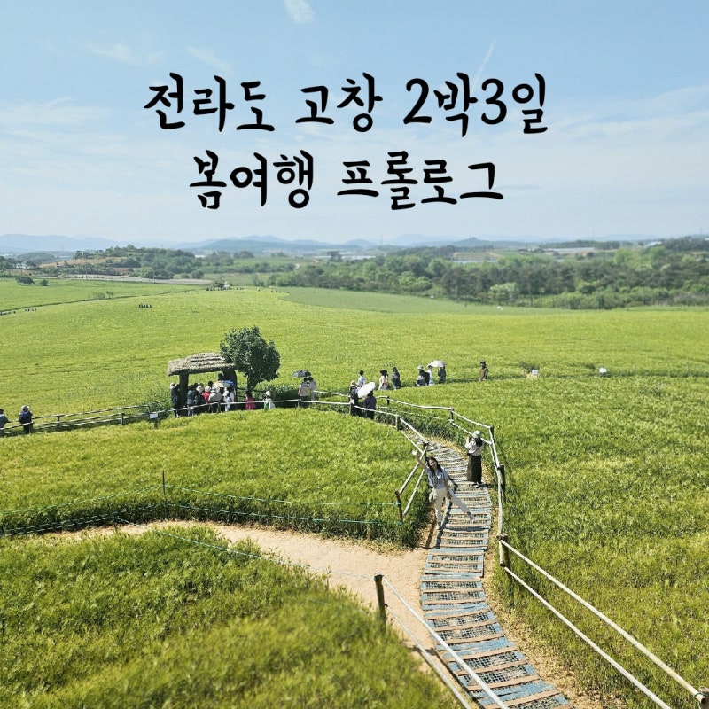 사진 8